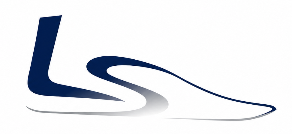 Lisheng logo